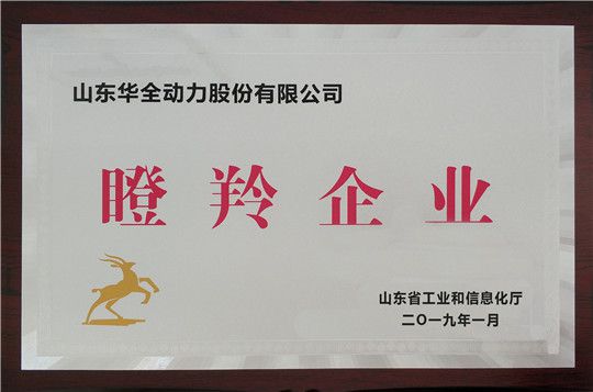 华全集团被评为山东省瞪羚企业