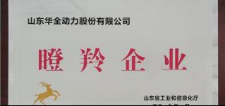 新春将至，喜报频传！华全集团被认定为山东省瞪羚企业！