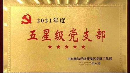 喜讯！华全集团党支部被评为潍坊经济开发区五星级党支部